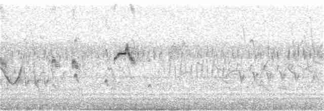 Тиранчик-короткодзьоб південний - ML199719671