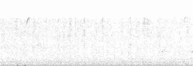 Белоголовый орлан - ML199726221
