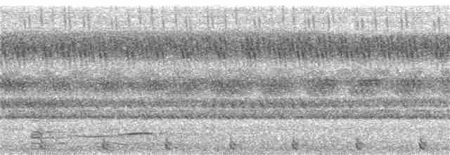 Сумбанская иглоногая сова - ML199785711
