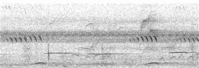 Ptilope turgris - ML199793201