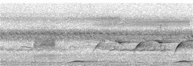 Sperlingsvogel, unbestimmt - ML199793241