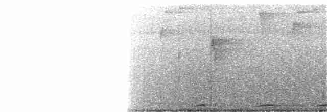 Синеголовая веерохвостка - ML199817641