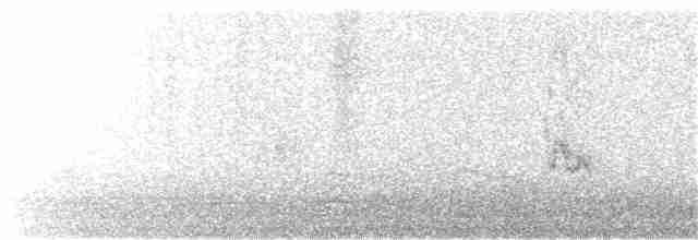 דוחל שחור-גרון - ML199912881