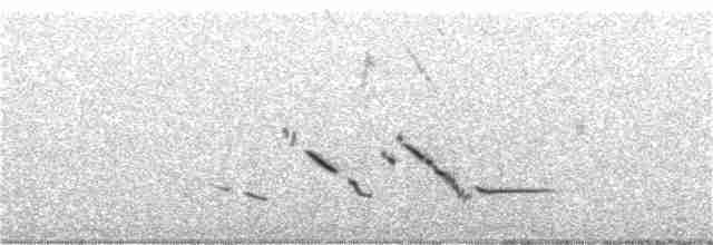 Chihuahuan Meadowlark - ML199961301