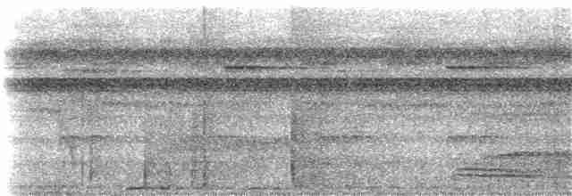 Koca Başlı Motmot [platyrhynchum grubu] - ML199967641