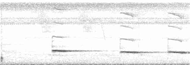 svartstrupemaurrikse (hoffmanni gr.) - ML199984131
