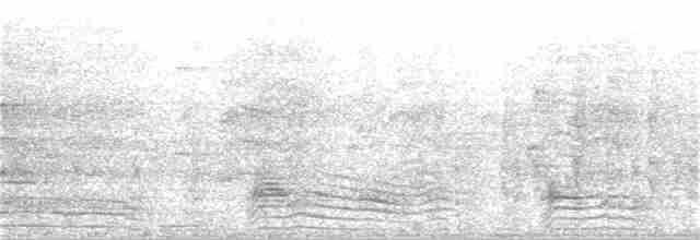 אנפית בקר מערבית - ML200013391