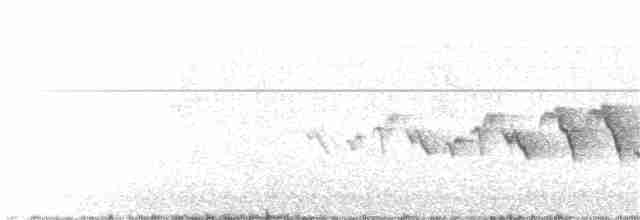 Белокрылая канделита - ML200049941