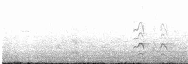 Bar-tailed Godwit - ML200082161