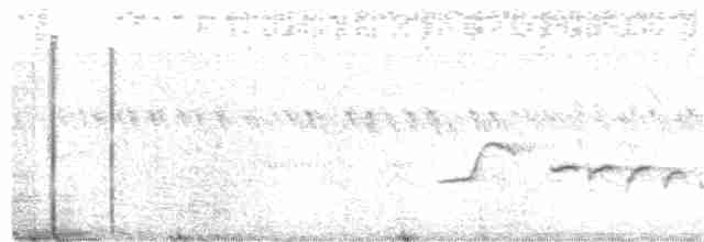 Sperlingsvogel, unbestimmt - ML200102171