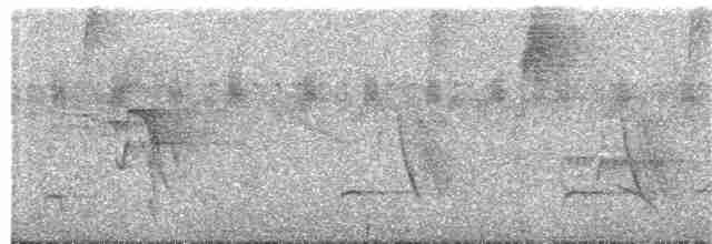 Kara Giysili Karıncakuşu - ML200136851