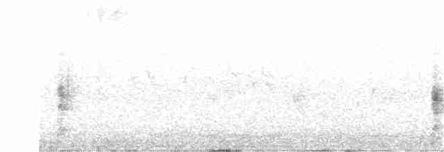 Spotless Crake - ML200189881