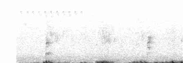 Spotless Crake - ML200190791