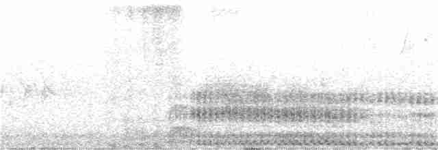 Spotless Crake - ML200191921