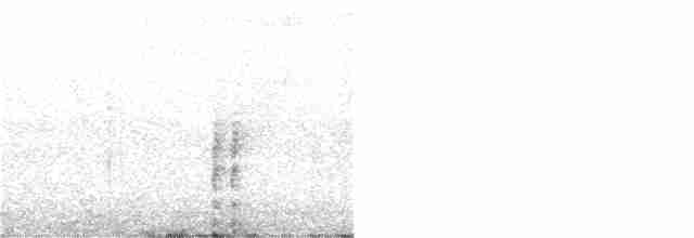 Spotless Crake - ML200192661