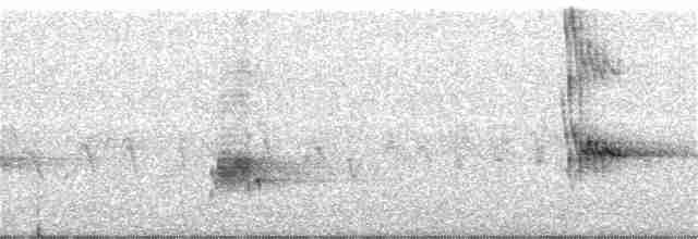 Loggerhead Shrike - ML200273561