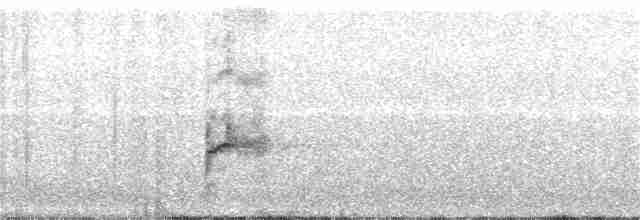 Loggerhead Shrike - ML200276001