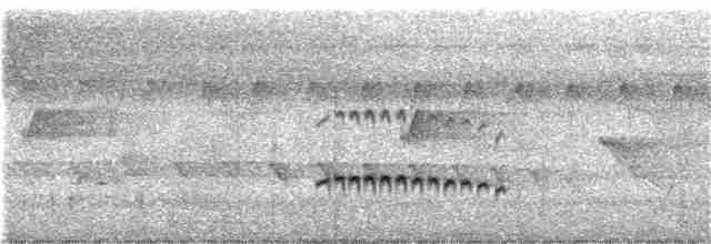 Tüpfelkronen-Ameisenvogel - ML200344771