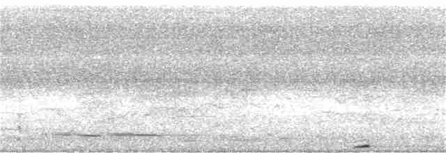 Pheasant Coucal (Pheasant) - ML200380581