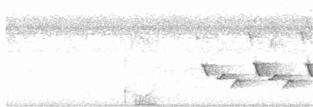 Karolina Çıtkuşu - ML200490911