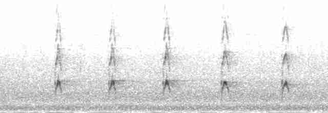 Длинноклювый кулик-сорока - ML200518