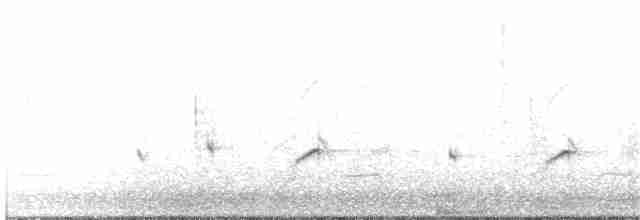 Little Ringed Plover - ML200564561