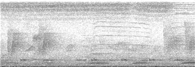 Trogon narina - ML200576991