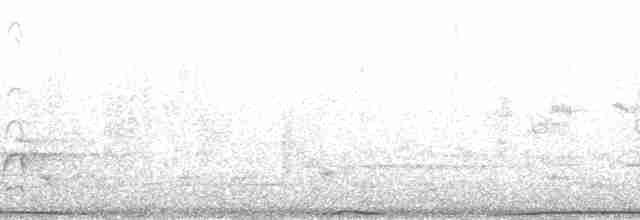 中杓鷸(variegatus) - ML200594