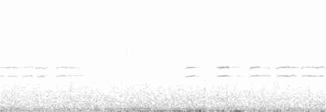 křivka bělokřídlá - ML200625781