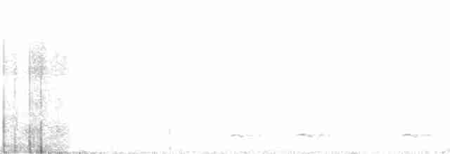 Chevêchette naine (gnoma) - ML200653221