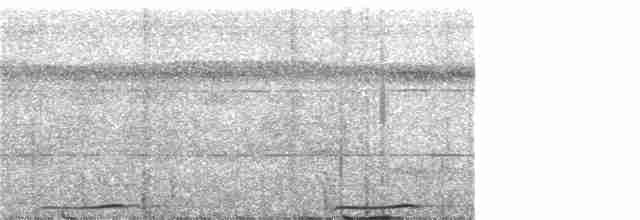 Сова-голконіг далекосхідна - ML200720001