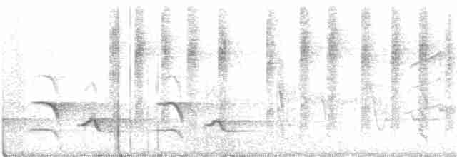hvitnakkehonningeter - ML200727781