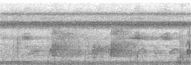 Серощёкая ленивка - ML20073551