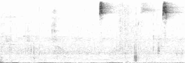 Белокрылая эспаньола - ML20075671
