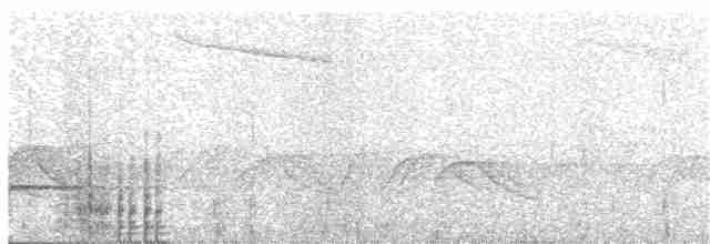 Чешуйчатый дрозд (dauma) - ML20076441