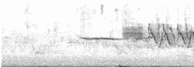 Porsuk Serçesi (pugetensis) - ML20082631