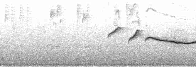 Tangara à poitrine fauve (taeniata) - ML201024