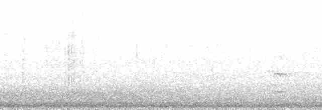 meridatapakulo (meridanus) - ML201028