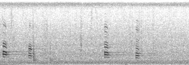 Острохвостый ибис - ML201093