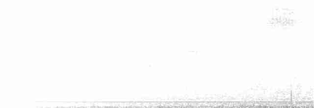svartbrystkolibri - ML20130761