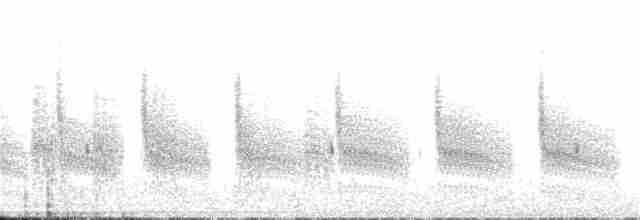 Grass Wren (Paramo) - ML20146281