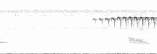 Кадук перуанський (підвид fjeldsaai) - ML20146931