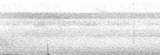 Golondrina del Pacífico (Pacífico) - ML201961