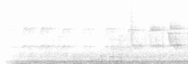 skjeggerygone (palpebrosa gr.) - ML202024