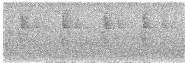 Белобородый колибри-отшельник - ML20204791