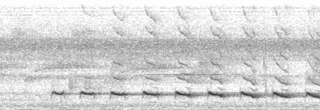 Diard Trogonu - ML202062