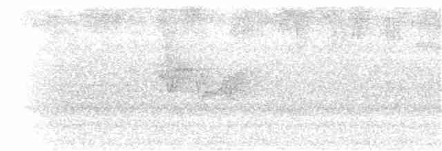 Фиолетовоголовый колибри - ML202157011