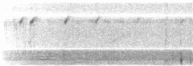 Namaqua Dove - ML202164411