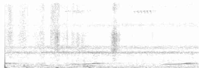 Сова-голконіг далекосхідна - ML202172551