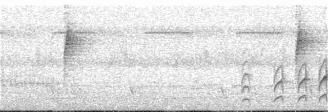 Graubrust-Dickichtschlüpfer - ML20221621